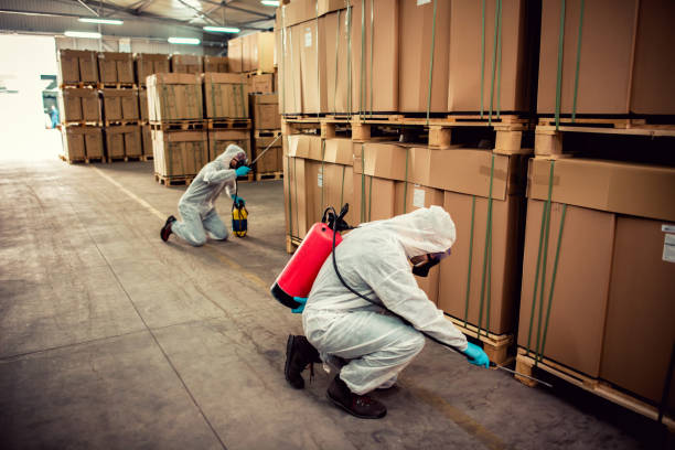 Best Termite Control Services  in Carlstadt, NJ