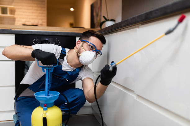 Best Commercial Pest Control Services  in Carlstadt, NJ