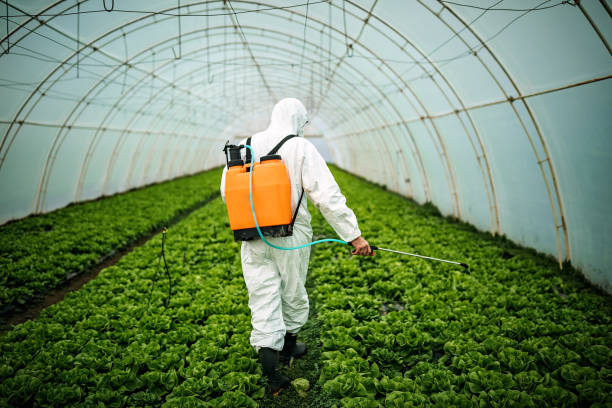 Reliable Carlstadt, NJ Pest Control Solutions