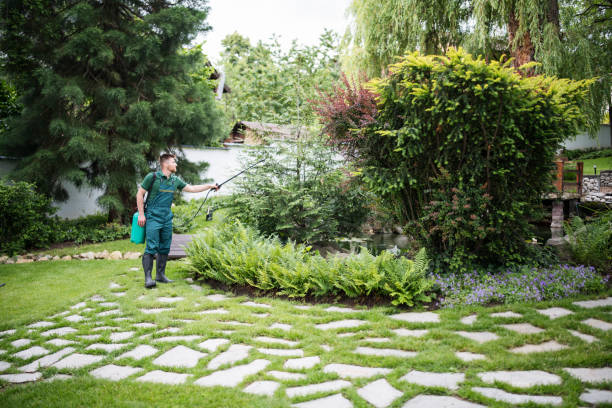 Best Local Pest Control Services  in Carlstadt, NJ