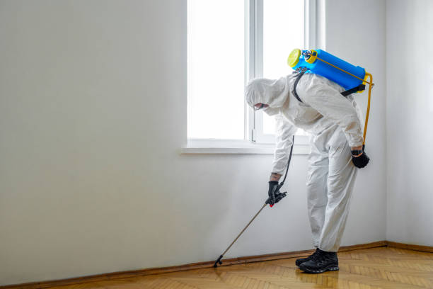 Best Rat Extermination Near Me  in Carlstadt, NJ