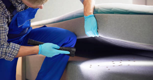Best Wasp Removal Services  in Carlstadt, NJ